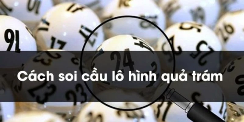 Soi cầu quả trám - Hình thức dự đoán lô đề đỉnh cao 2025